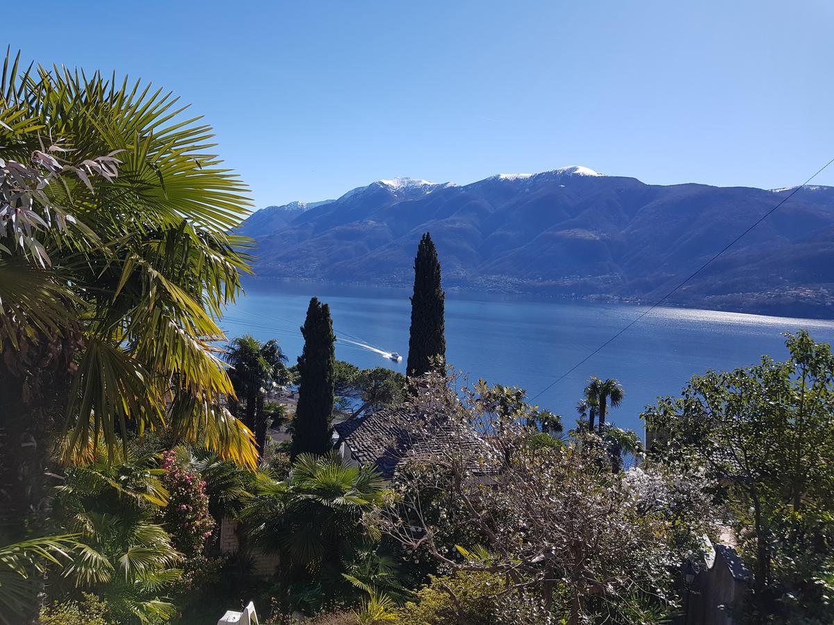 Residence Venus Garden Brissago Exteriér fotografie